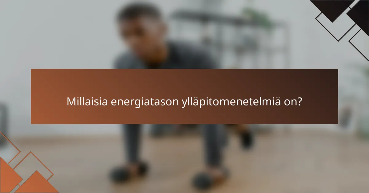 Millaisia energiatason ylläpitomenetelmiä on?