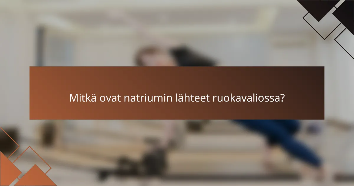 Mitkä ovat natriumin lähteet ruokavaliossa?